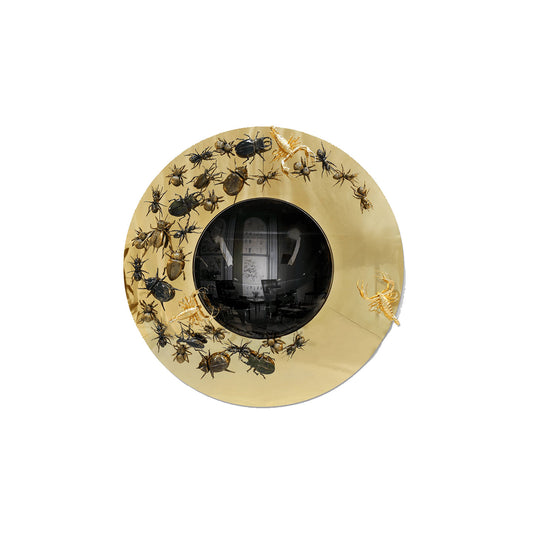 convex metamorphosis mirror