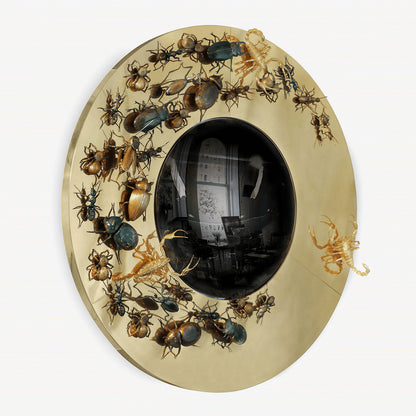 convex metamorphosis mirror