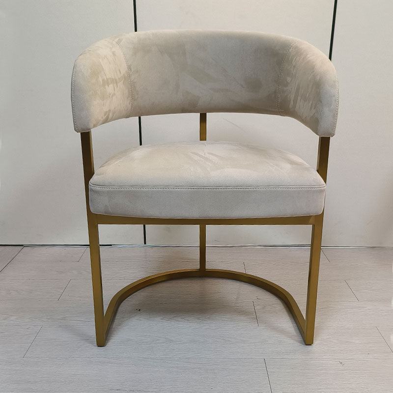 Modern Upholstered Accent Dining Chair