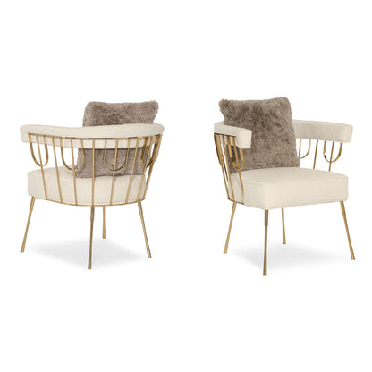 Living Room Accent Chair / Bedroom Vanity Chair