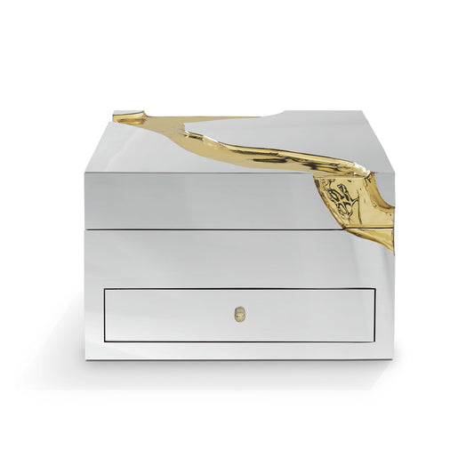 Silver & Gold Luxury Watch Box, Premium Jewelry Storage Case