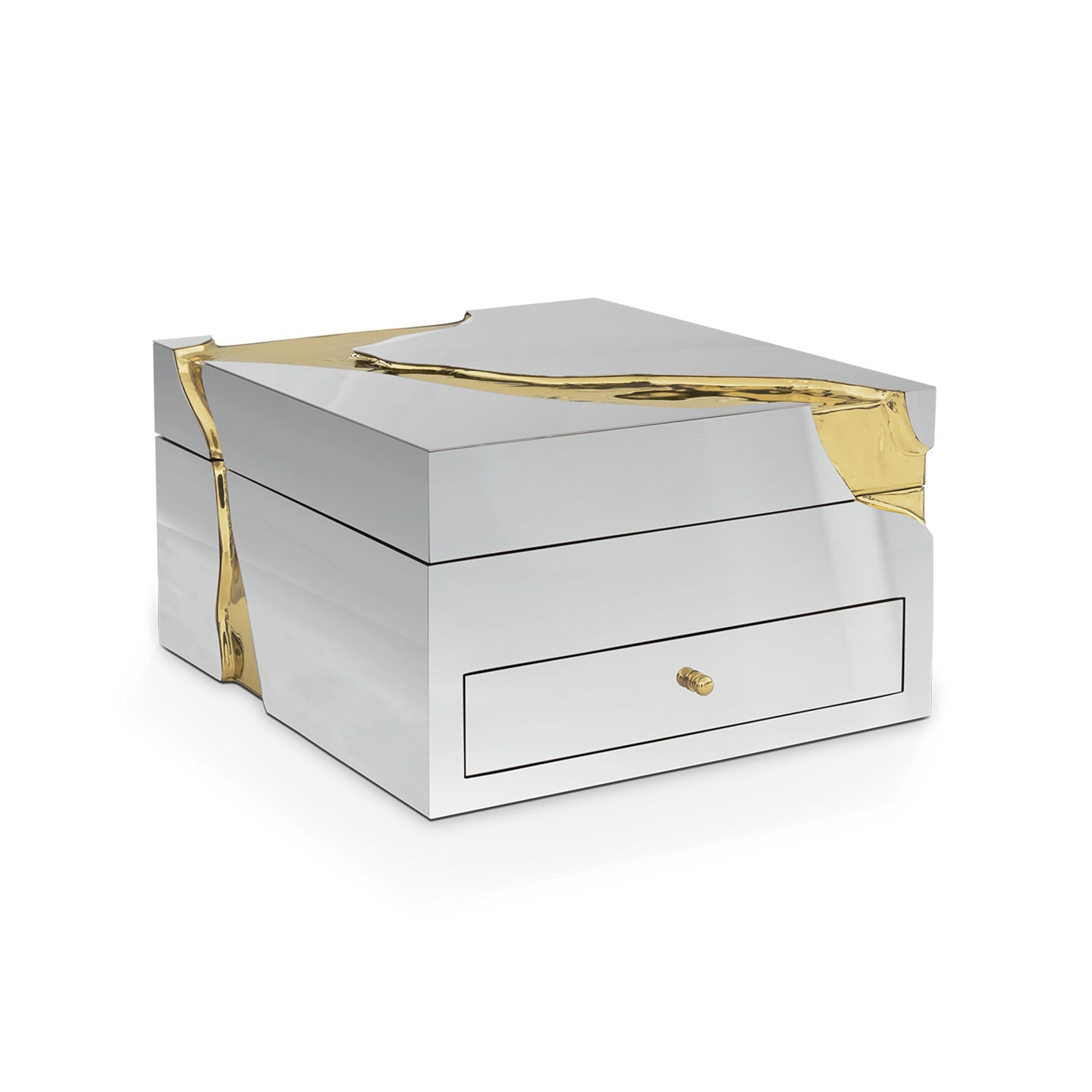 Silver & Gold Luxury Watch Box, Premium Jewelry Storage Case