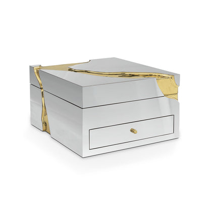 Silver & Gold Luxury Watch Box, Premium Jewelry Storage Case